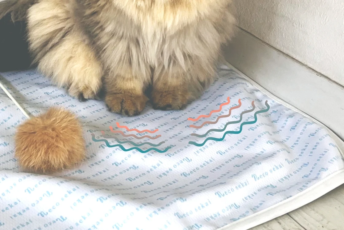 素材について