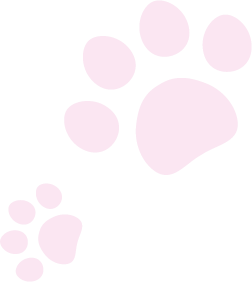 猫のあしあと
