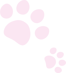 猫のあしあと