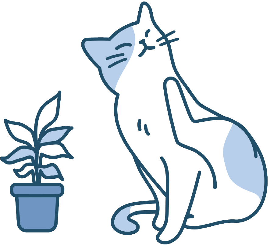 自分の首のかゆいところをかく猫
