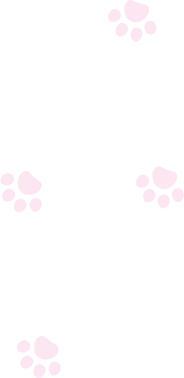 ねこのあしあと