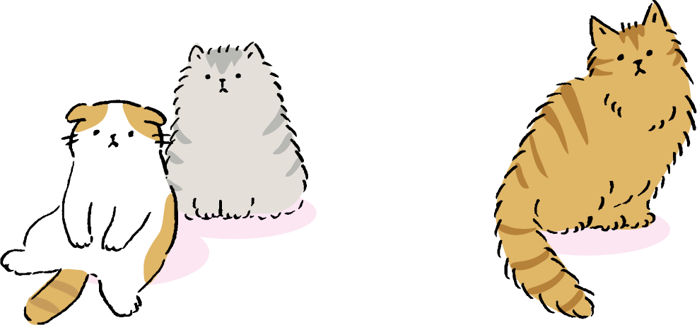 三匹の猫たち