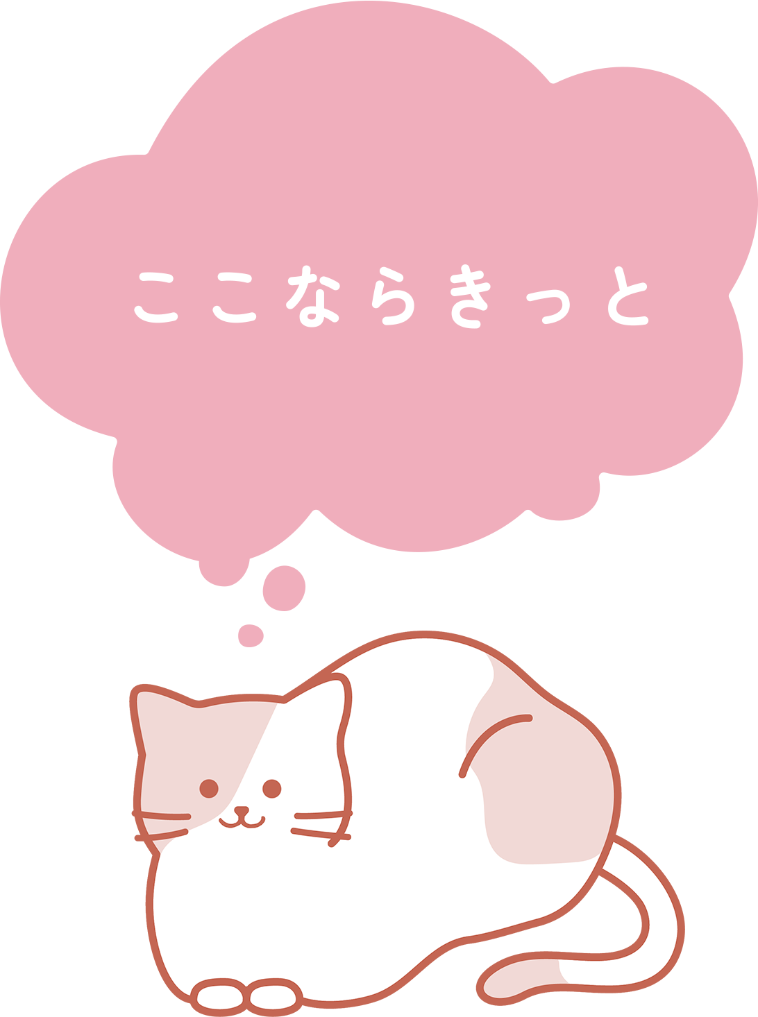 「ここならきっと」と思うねこ