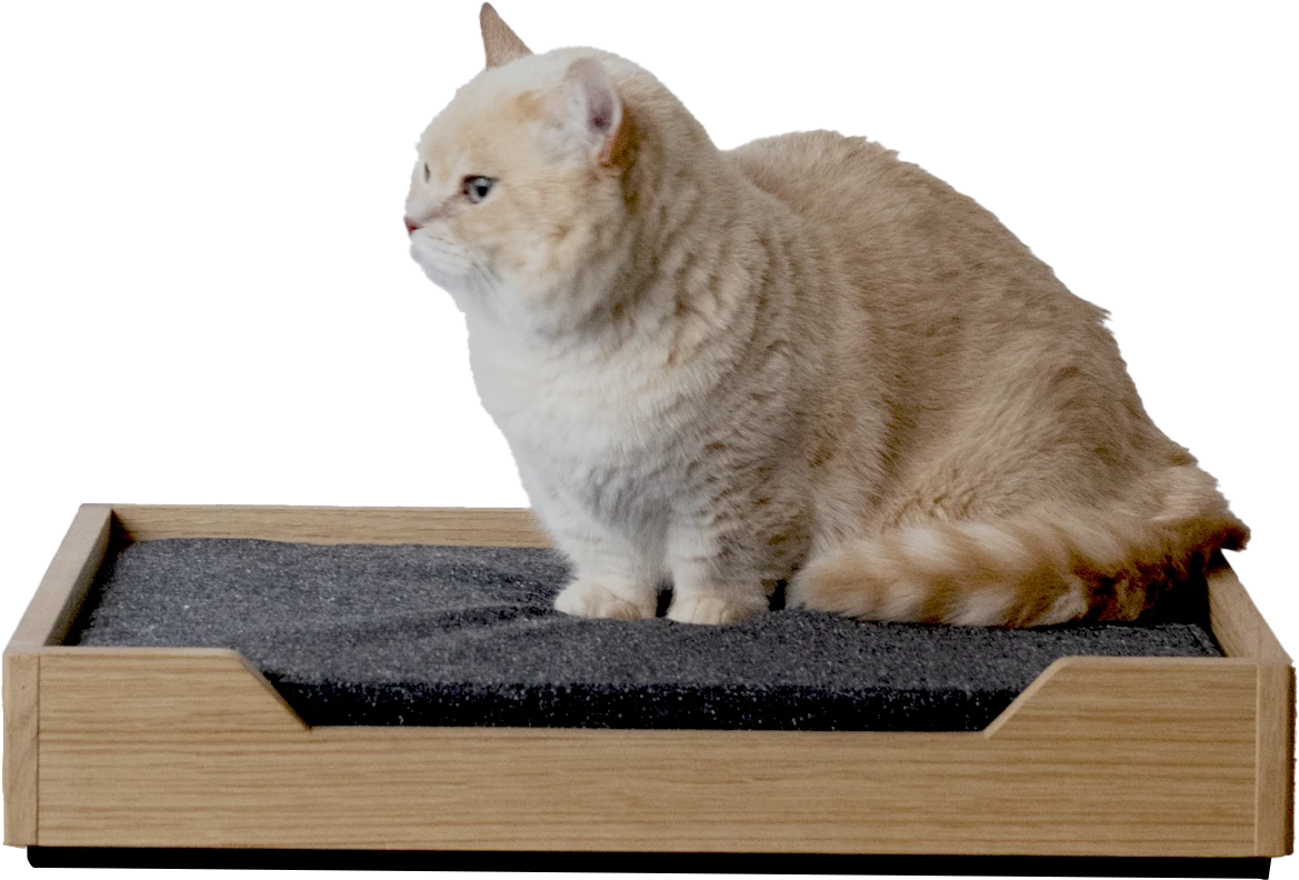 CIEL / pet bed【受注生産品】