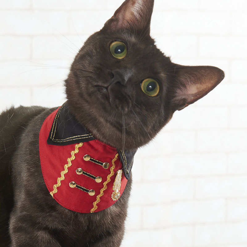 キャットスタイ／napoleon look（ナポレオンルック）